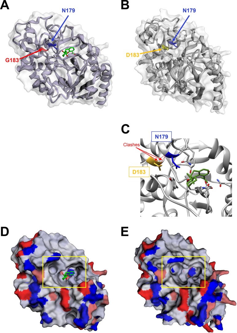 FIG 3