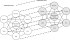 Evolving OD through project phases, adapted from Waterman et al. [17].