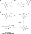 Fig. 1.