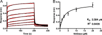 FIG 6