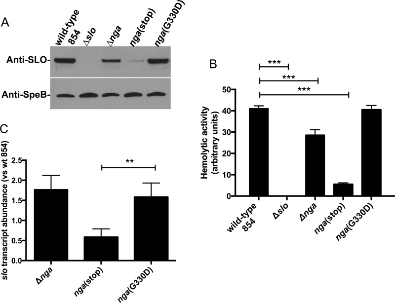 FIG 2 