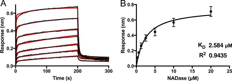 FIG 6 