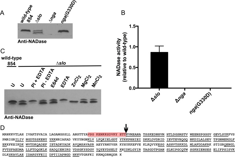 FIG 3 