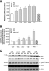 FIG. 1.