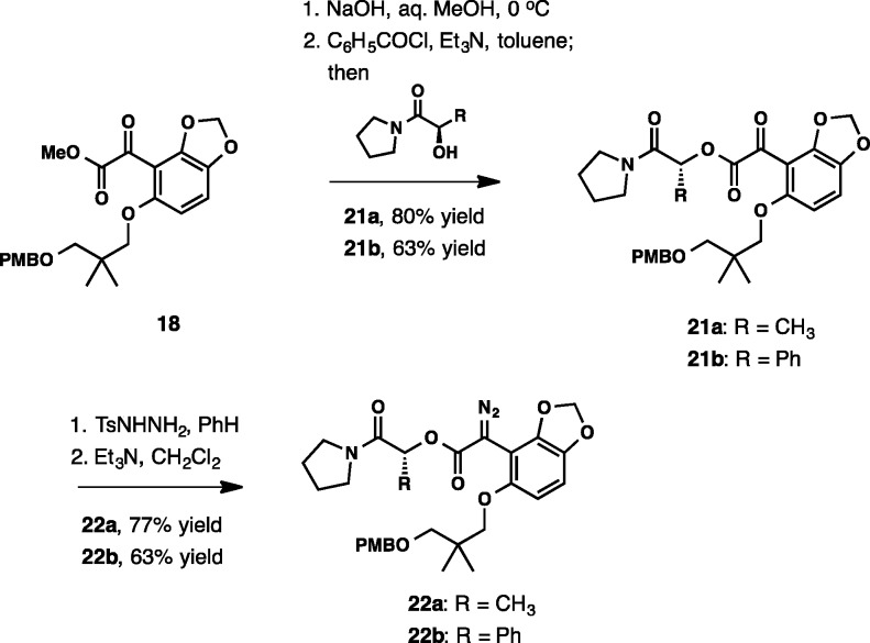 Scheme 6