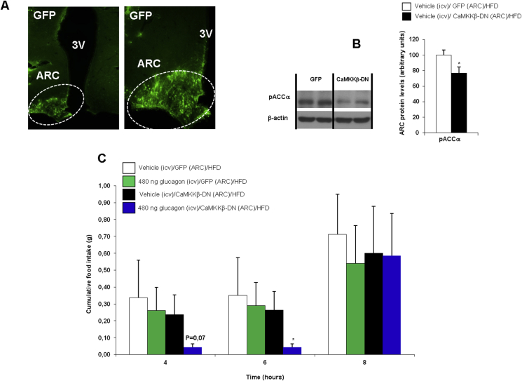 Figure 6