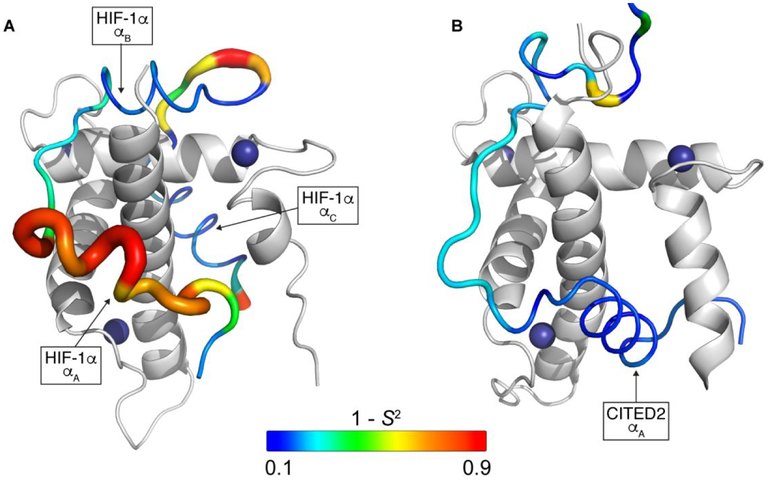 Figure 7.