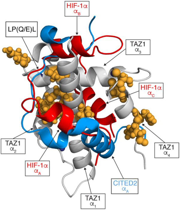 Figure 6.