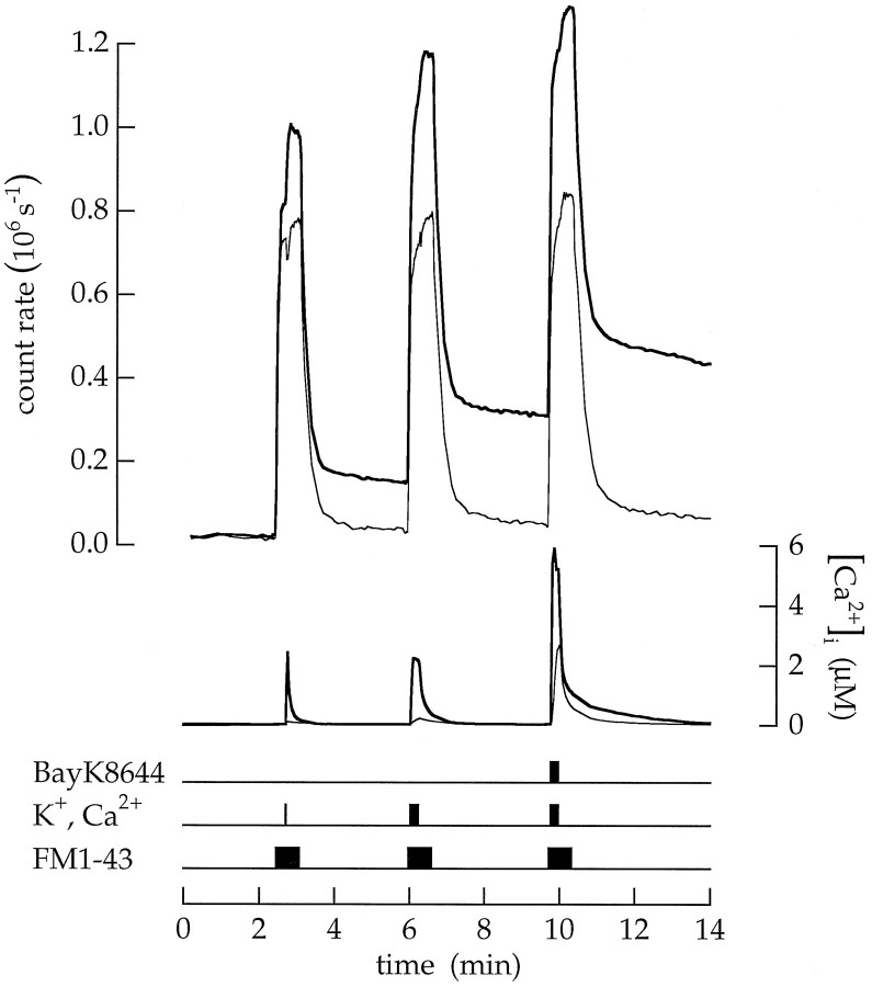 Fig. 12.