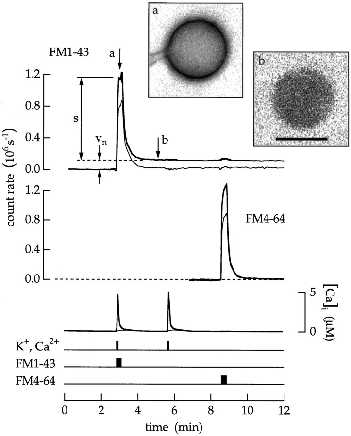 Fig. 10.