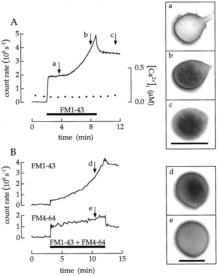 Fig. 14.