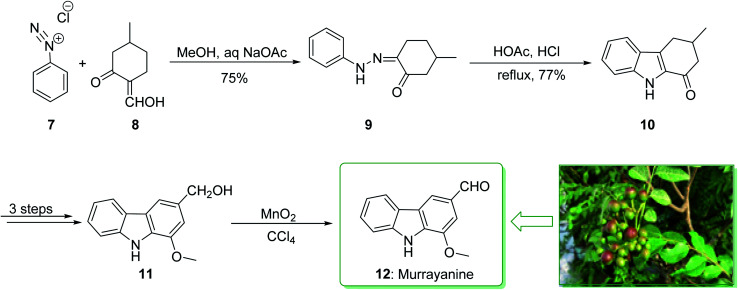 Synthesis of indole derivatives as prevalent moieties present in ...