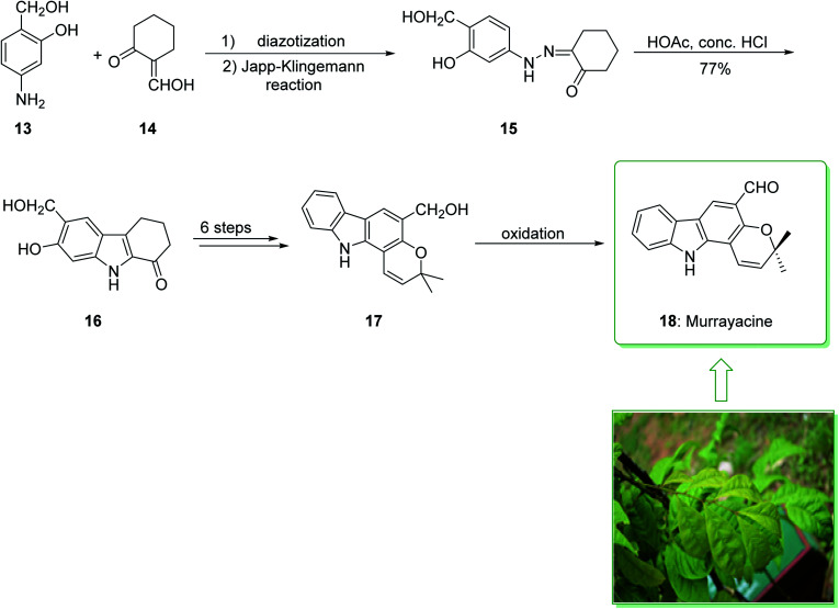 Synthesis of indole derivatives as prevalent moieties present in ...