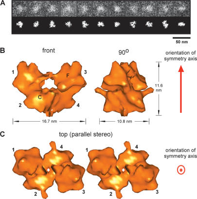 Figure 3.