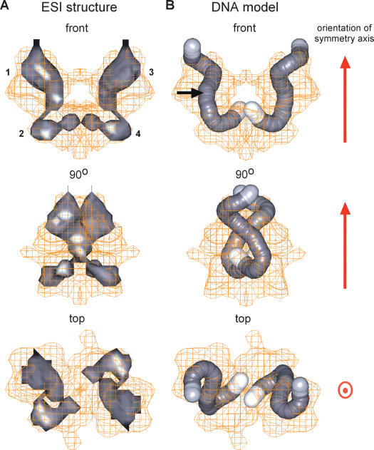 Figure 4.