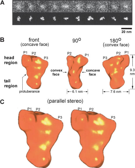 Figure 2.