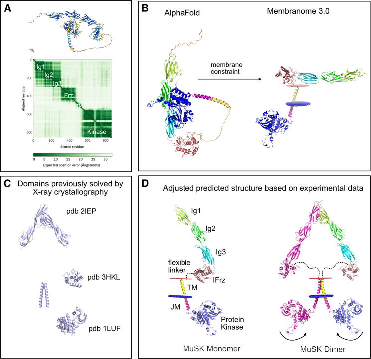 Figure 2