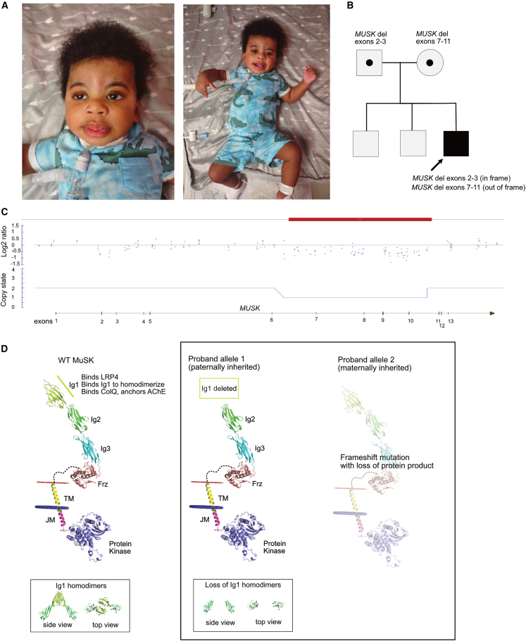 Figure 1