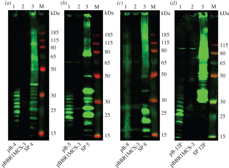 Figure 4.