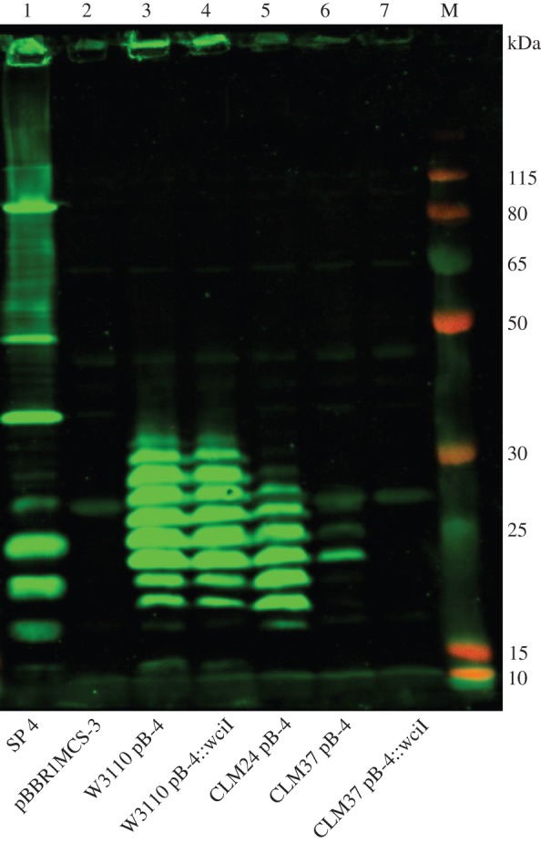 Figure 7.