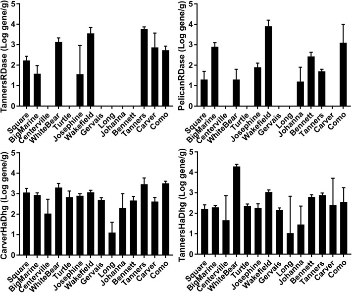 FIGURE 4