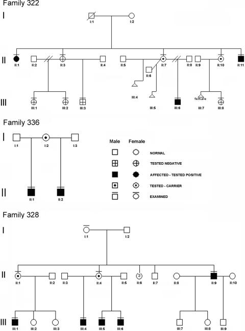 Figure  1. 