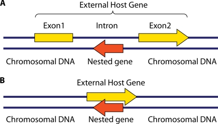 FIG. 1.