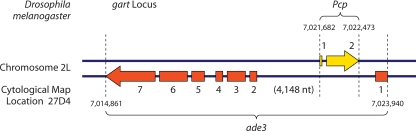 FIG. 2.