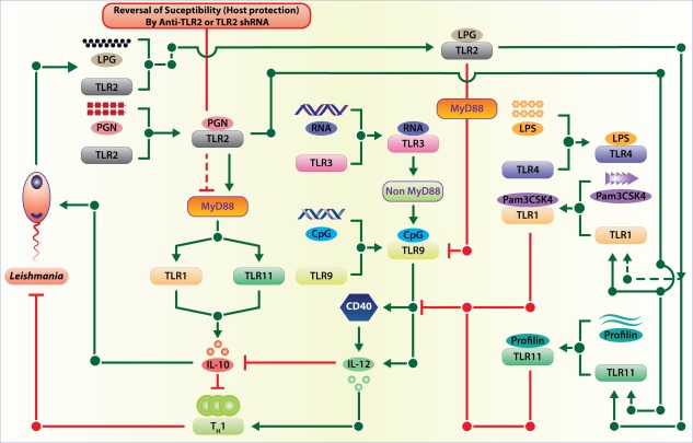 Figure 7