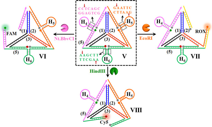 Scheme 2