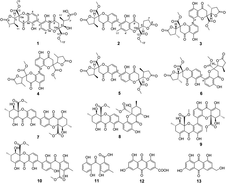 Fig. 1