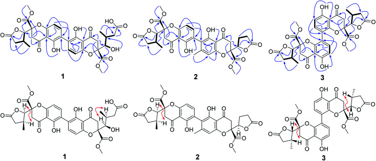 Fig. 2