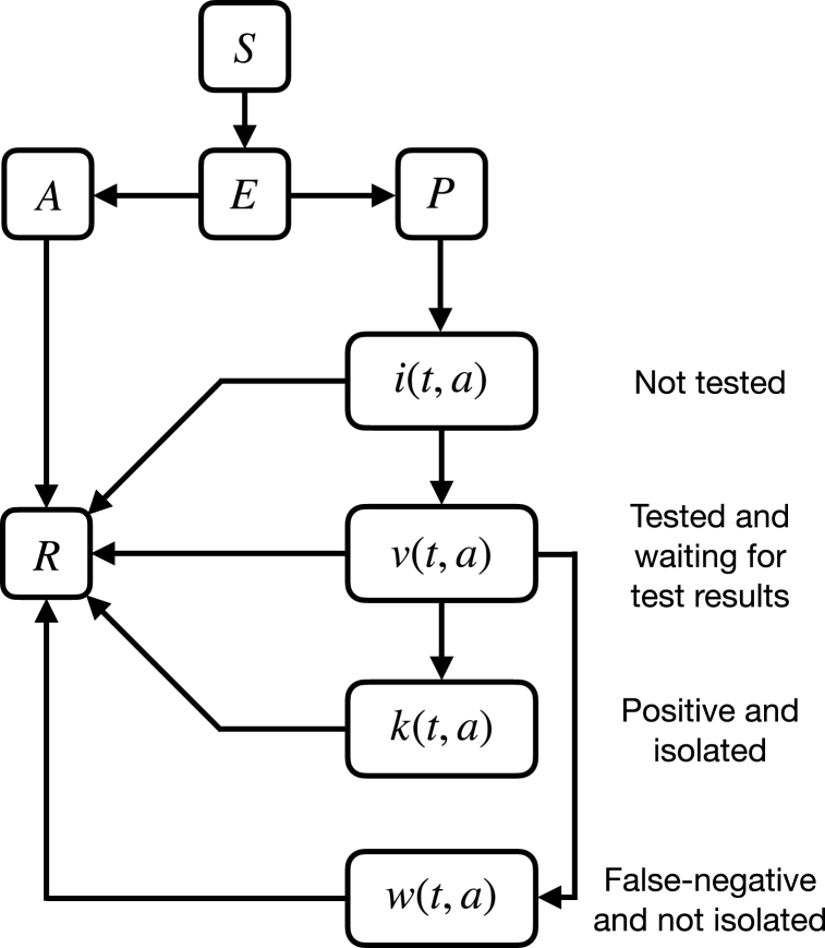 Fig. 1