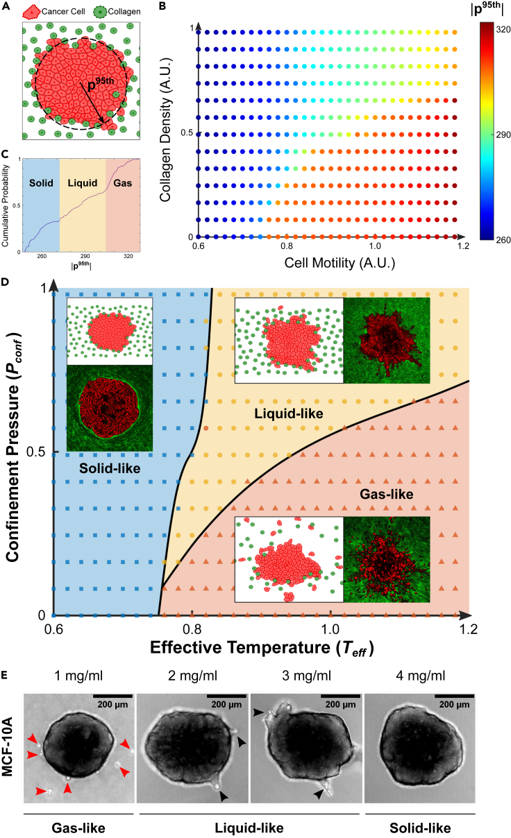 Figure 5