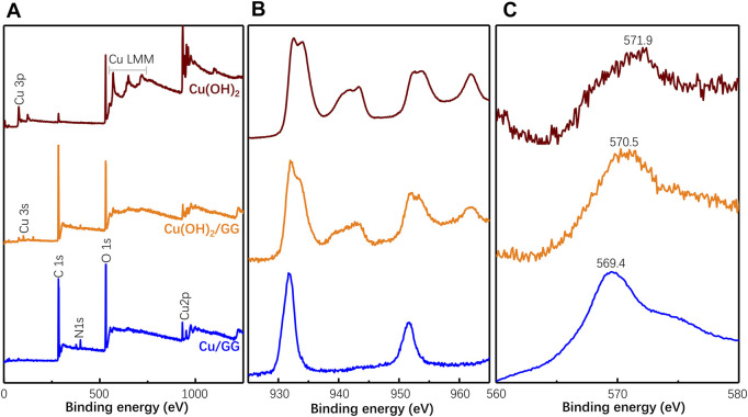 FIGURE 5