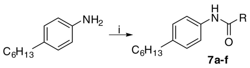 Scheme 5