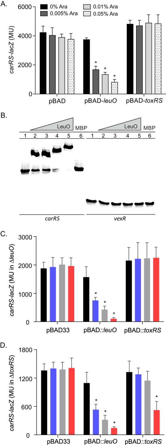 FIG 2