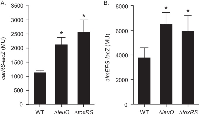 FIG 1