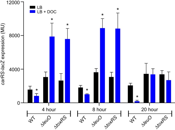 FIG 3