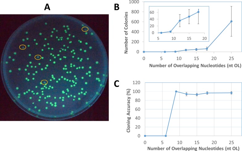 Fig 4