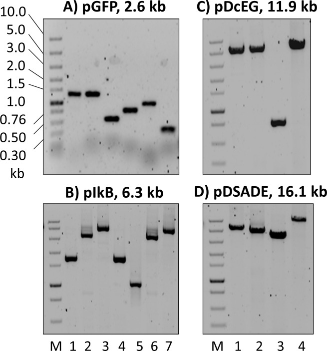 Fig 2