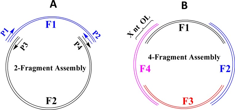 Fig 1