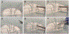 Fig 4.
