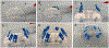 Fig 5.