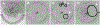 Fig 3.