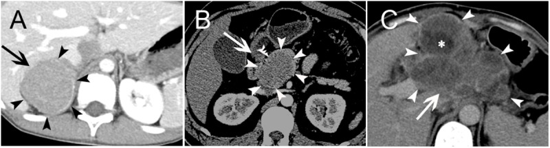 Fig 5