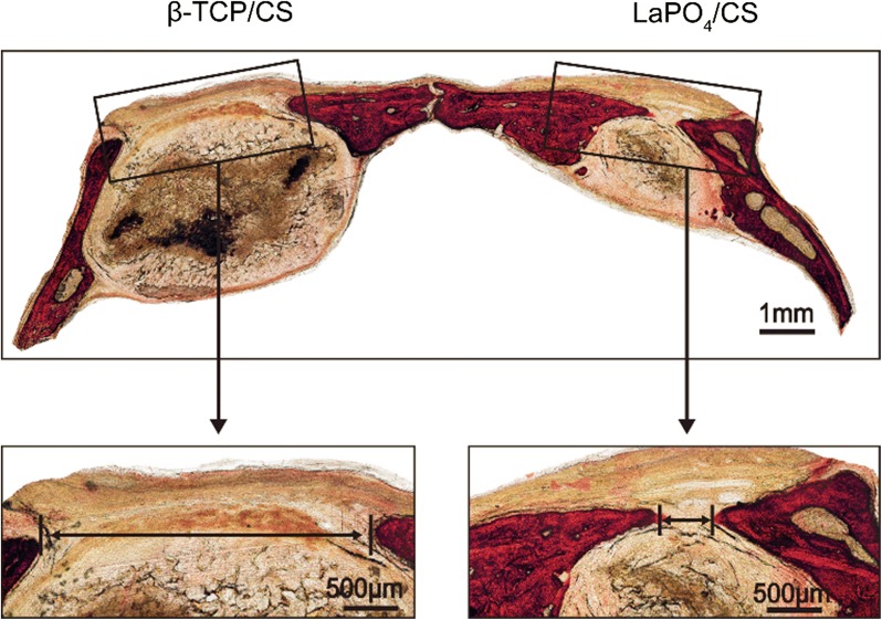 Fig. 9