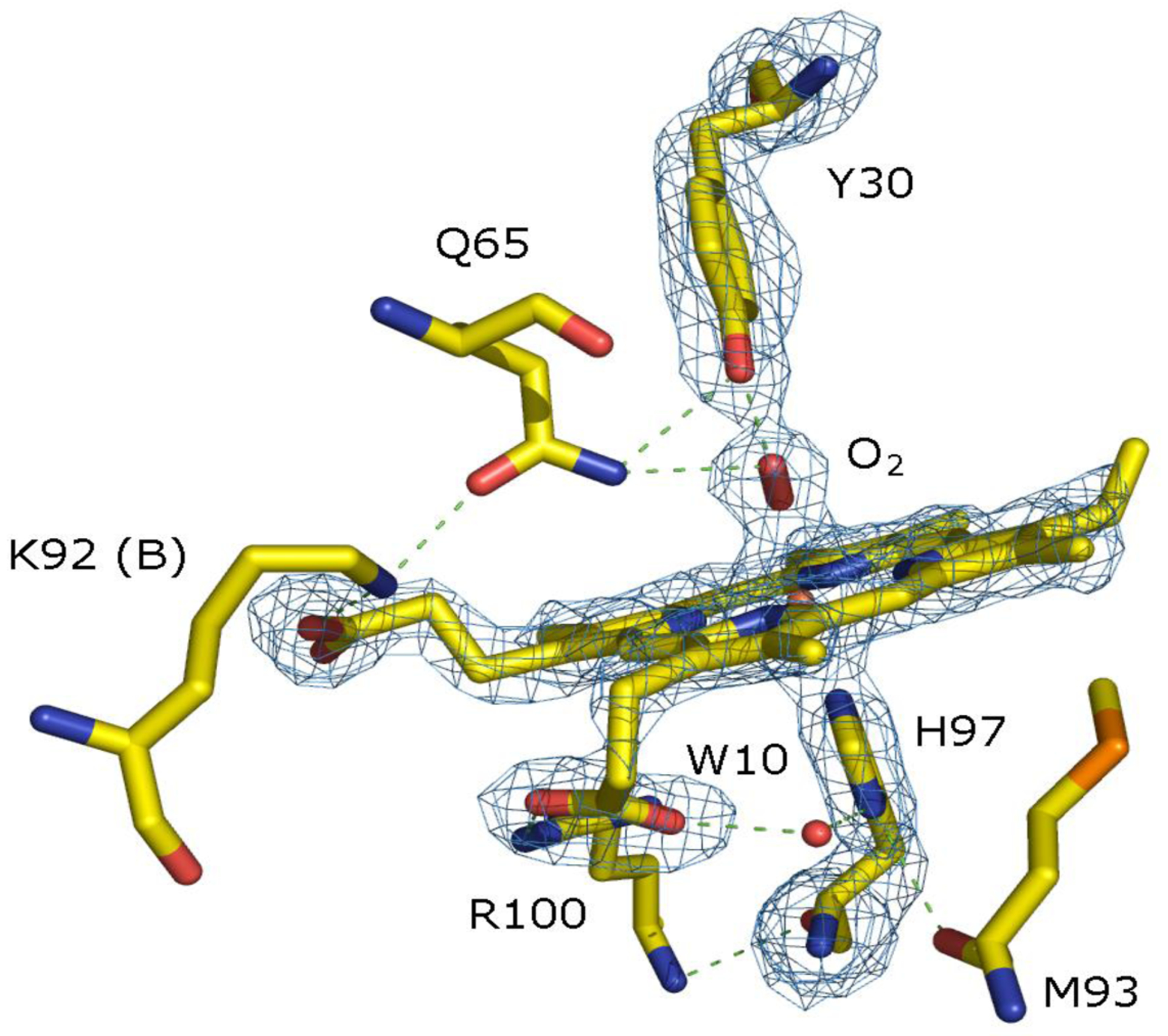 Figure 1.