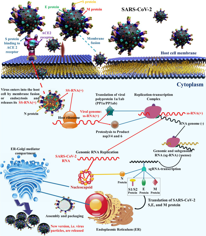 An Overview On Nanoparticle-based Strategies To Fight Viral Infections 