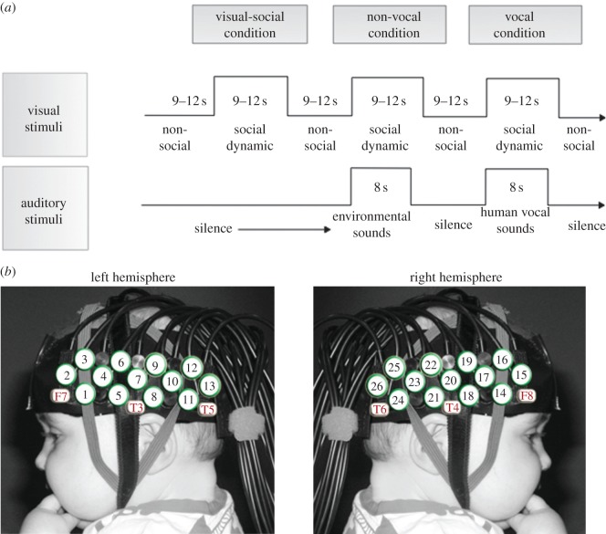 Figure 1.